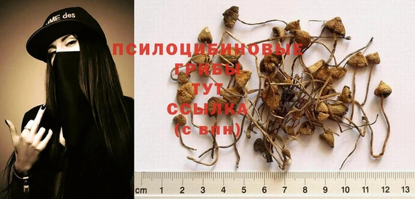 Альфа ПВП Баксан
