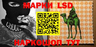 твердый Будённовск