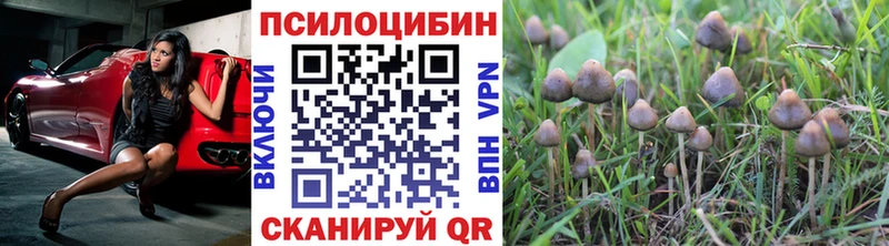 Псилоцибиновые грибы ЛСД  Джанкой 