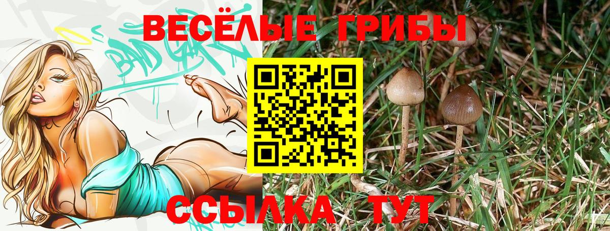 Галлюциногенные грибы GOLDEN TEACHER  Вход с VPN  даркнет сайт  Джанкой 